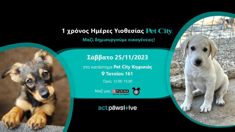 pet city